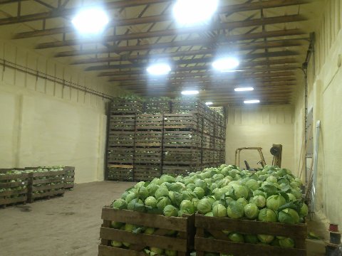Agricultural cold storage building with foam insulation