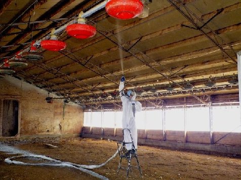 Poultry barn interior insulated with spray foam